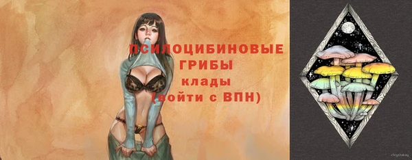 дживик Заволжск
