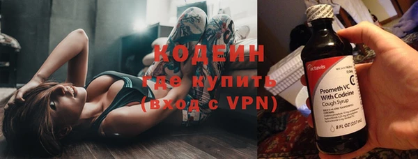 стаф Заводоуковск