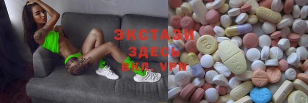 стаф Заводоуковск