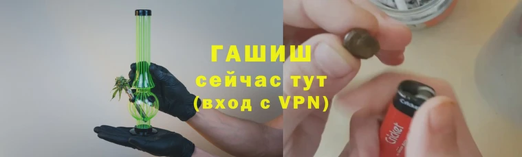 стаф Заводоуковск
