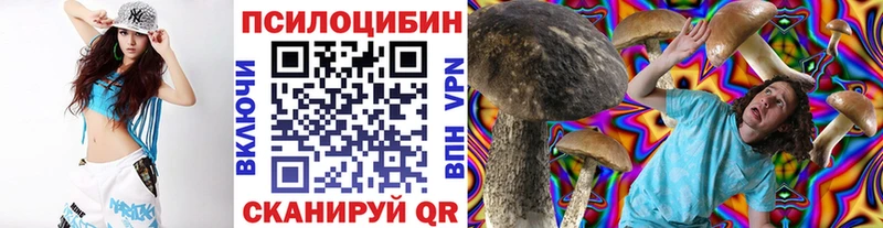 Галлюциногенные грибы прущие грибы  закладки  Иннополис 